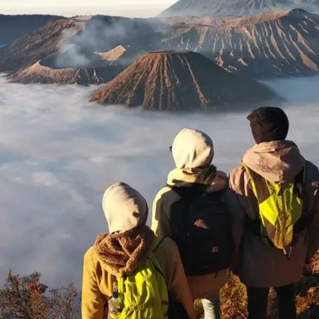Bromo Private Tour