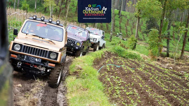 off road batu Rombongan karyawan naik Jeep 4x4 melintasi jalur sawah di Batu