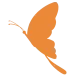 shillouete-butterfly-programs